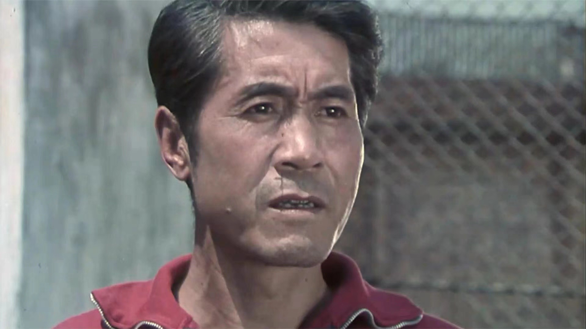 经典老电影顾此失彼篮球和鸡怎么联系