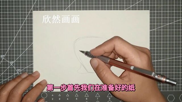 宝宝学画扇贝,大家喜欢什么类型,獐子岛的扇贝和仙贝你见过吗?