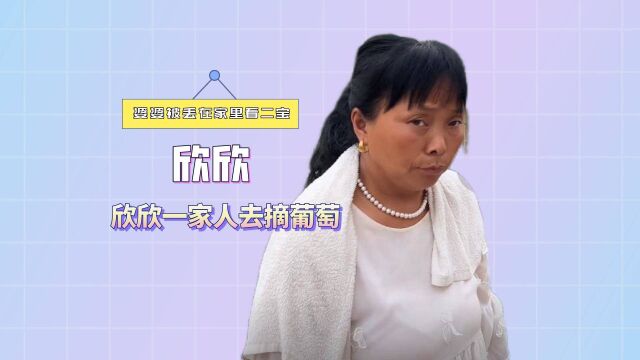 欣欣一家人去摘葡萄,婆婆被丢在家里看二宝,一个眼神暴露真实性格