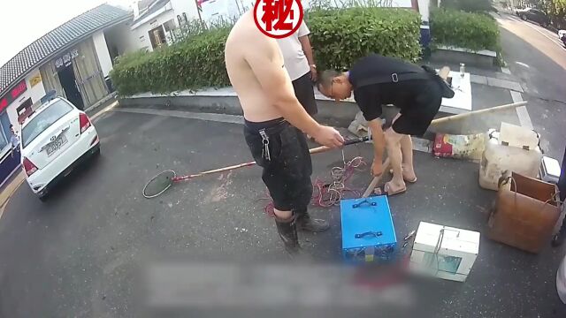 凌晨三点,遂宁两男子跑到河边干这事儿...当场被抓!