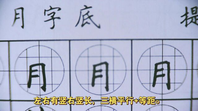 写字难?写字丑?谦品格练字来帮你.#硬笔书法 #月字底.这样练字更容易!