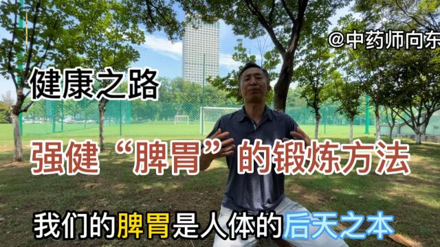 “脾胃”是一年四季必须重点锻炼的人体器官“四季常呼脾化餐”