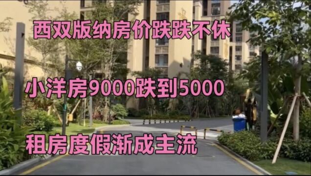 西双版纳房价跌跌不休,小洋房9000跌到5000,租房度假渐成主流