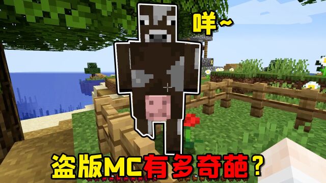 我的世界:当你不慎下载了盗版MC?这样扭曲的游戏无法再继续了!