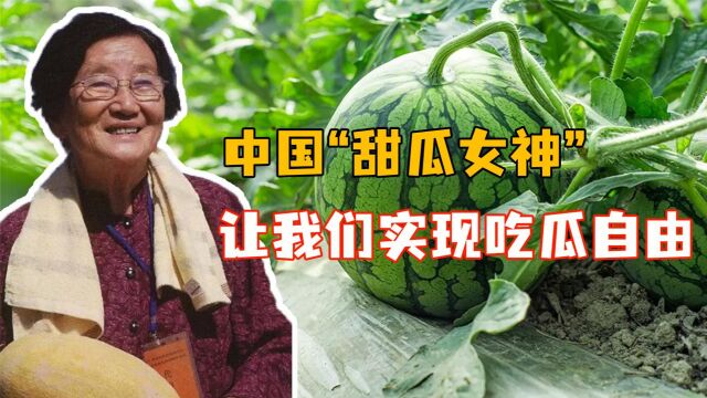 中国“甜瓜女神”,一生只做一件事,让全国人实现吃瓜自由!