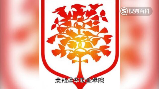 立懂百科带你了解贵州盛华职业学院