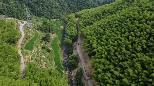 小毕的山野之旅