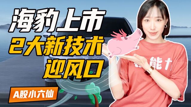 “豹”款!电池集成技术蓄势待发,汽车行业还有哪些领域值得挖掘?