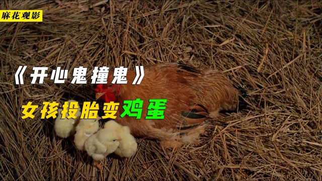 鬼投胎也要背景?女孩没背景,结果变成一颗鸡蛋!