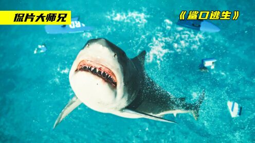 普通人遇到鲨鱼，生还的几率有多高？这个电影给出了答案！