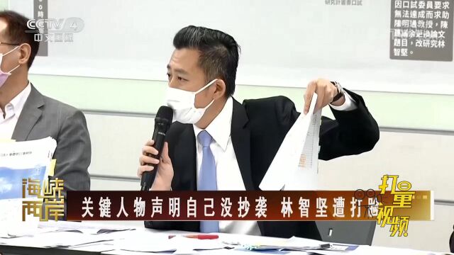 “论文门”关键人物声明自己没抄袭,林智坚遭打脸