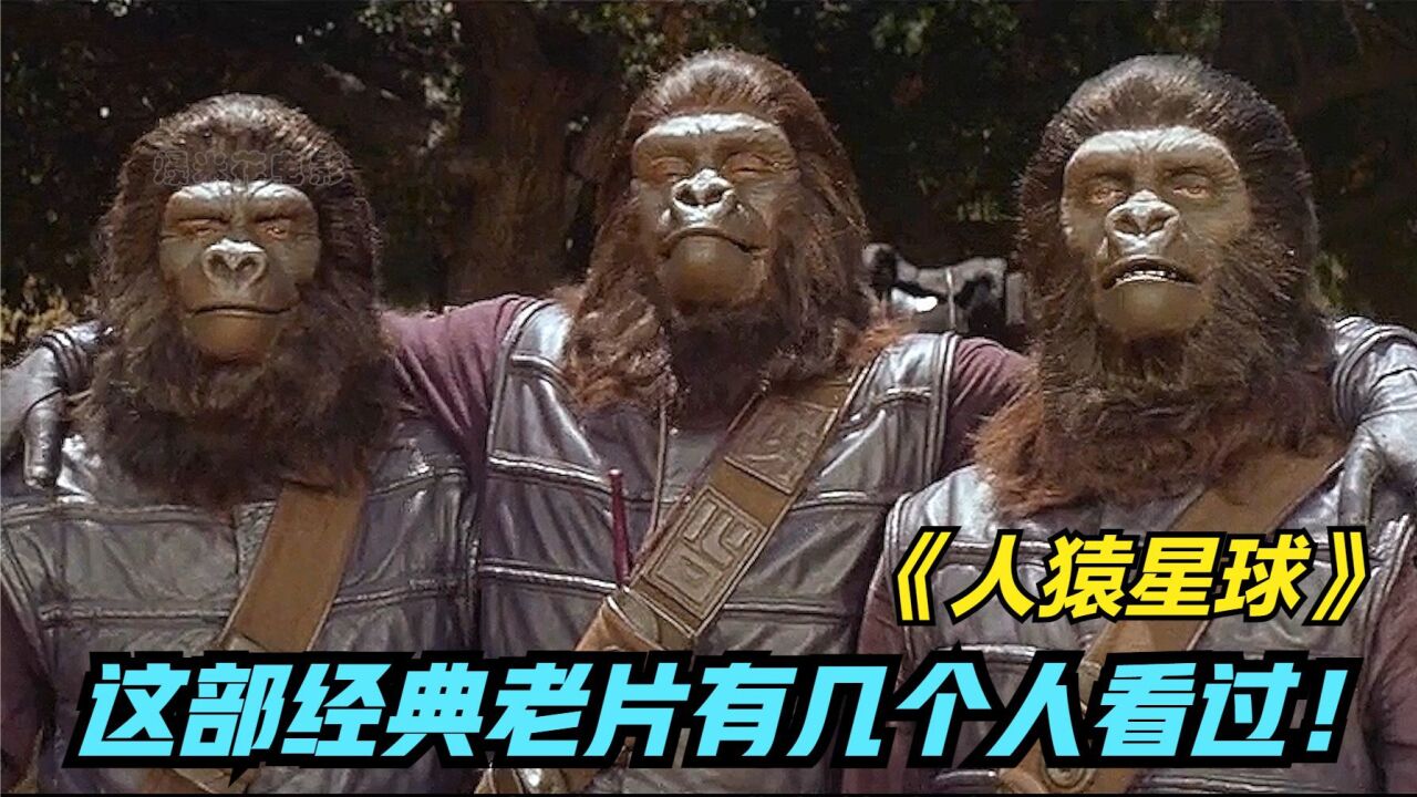 人猿是由人类进化而来的?达尔文直呼无语--《人猿星球》_腾讯视频