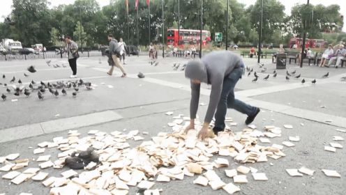 小伙将泻药放在面包里，到广场上喂野鸽子，数千只野鸽子天上拉稀