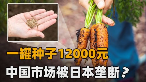 一罐卖一万三！胡萝卜种子也遭日本“卡脖子”，我国自己没有籽？