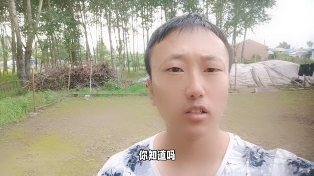 抖音上人也分三六九等吗?