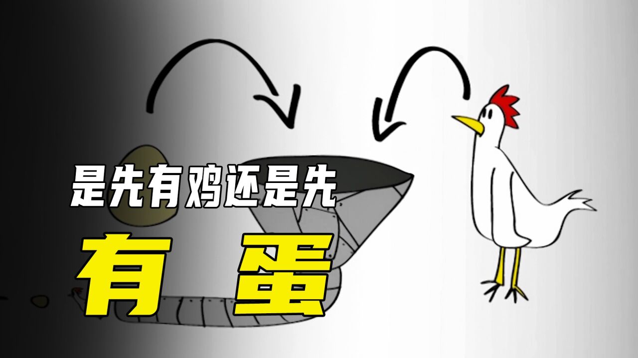 到底是先有鸡还是先有蛋,你知道吗?搞笑动画《鸡与蛋》_腾讯视频