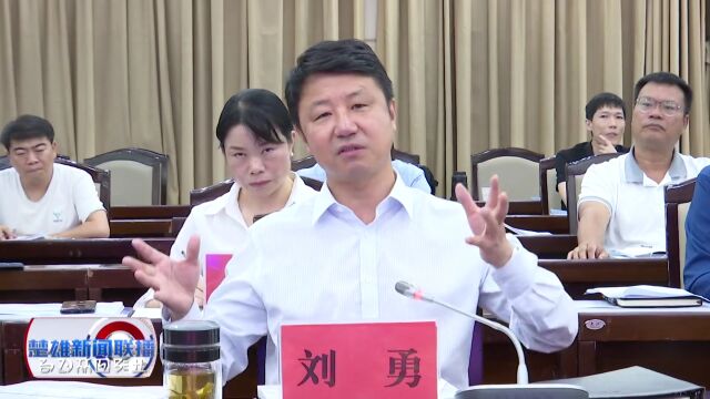 刘勇:高标准高质量高效率推进滇中楚雄大学城项目建设