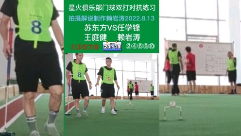 苏东方&王庭健VS任学锋&赖岩涛-门球比赛