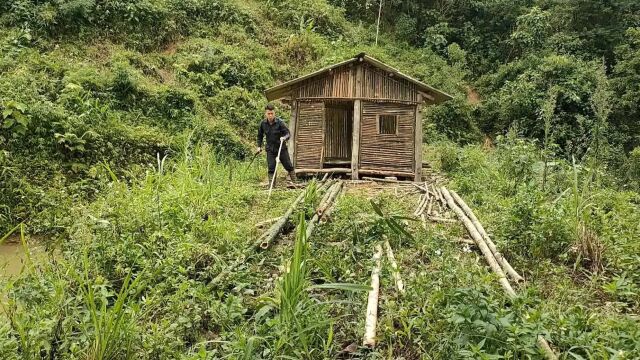 打造室外桃园,给竹屋装上墙,越来越好了!