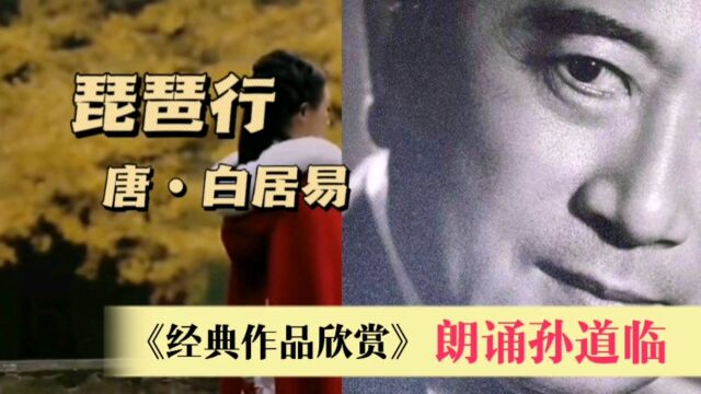 经典作品欣赏《琵琶行》白居易