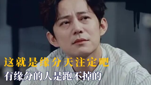 命中注定的缘分真的存在吗?有缘分的人是跑不掉的,兜兜转转还是会在一起