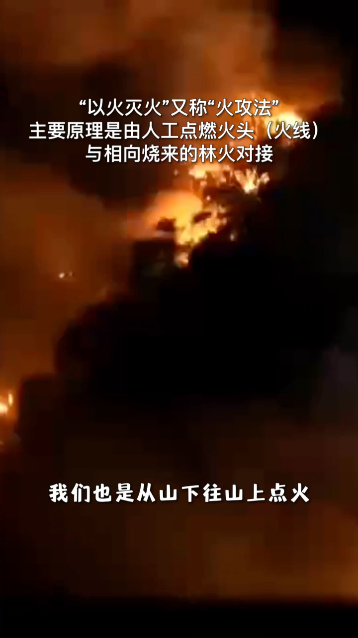 什么是以火灭火？消防救援人员科普重庆北碚山火拉锯战中的反向点火战术！_腾讯视频