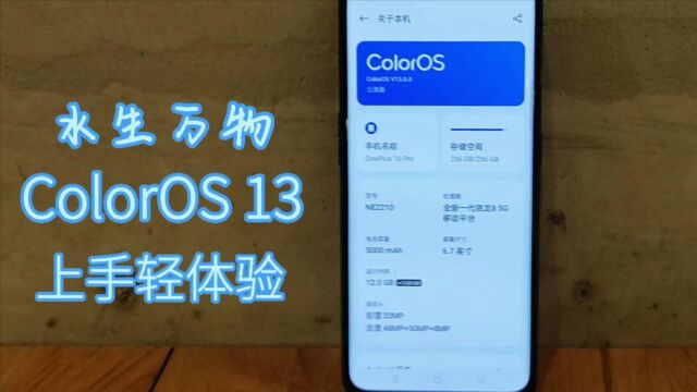 水生万物ColorOS 13,上手轻体验