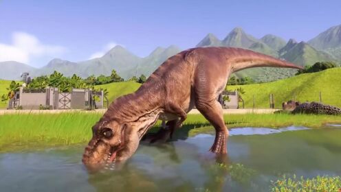 恐龙世界动画系列:暴虐霸王龙与霸王龙对决, 恐龙战斗