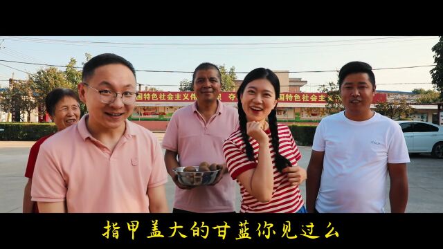 《盛会乐淘淘》“翠娥”“栓科”带你“云”逛会!