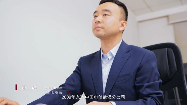 湖北电信集成创新专业雷禹