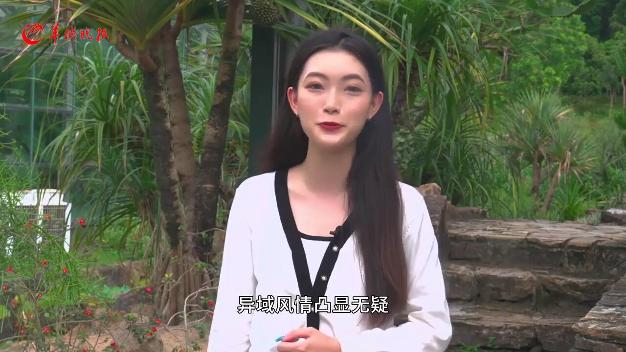 【岭南游记】走进华南国家植物园，感受巧夺天工的园林美景_高清