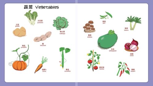 第07集 认识蔬菜