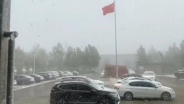 昨天,河北下雪了!来看视频,感受一下!