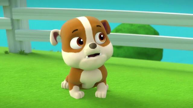 汪汪队出任务,小砾跟随一起前去,满眼都是崇拜,小砾的肚子咕咕叫不停