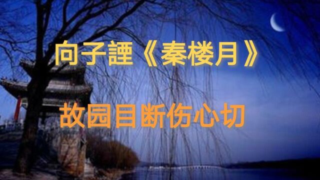 《秦楼月》宋 向子諲 子规声外,晓风残月.