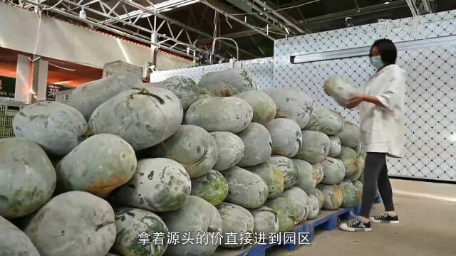 河南郑州上线农产品直供市场