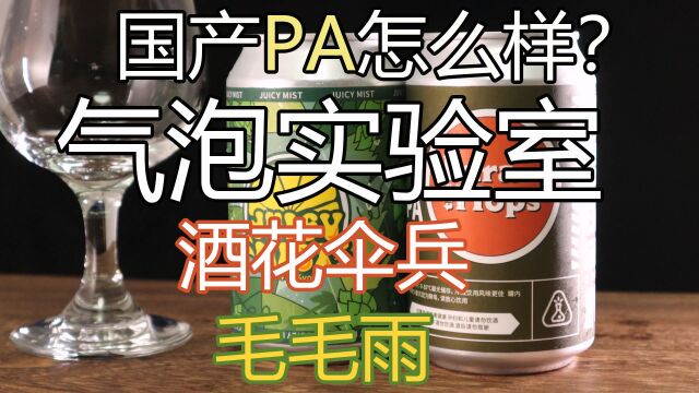 【精酿啤酒】试喝:国产PA怎么样?【气泡实验室】初体验