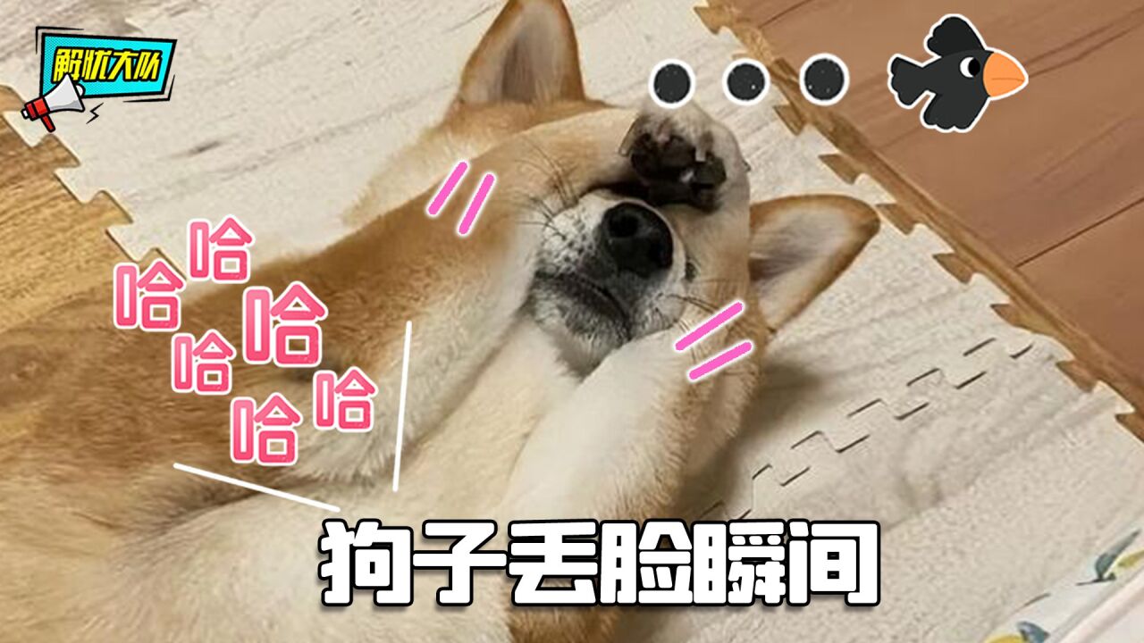 狗子丢脸翻车瞬间,尴尬总是在所难免_腾讯视频