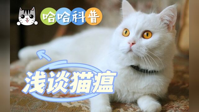 浅谈猫瘟