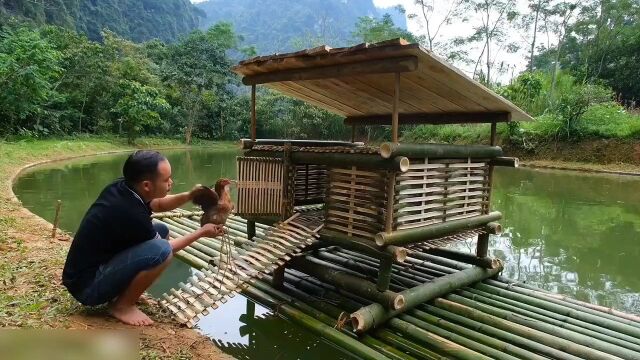 这个男人在荒野独居了五年,今天要给他的小鸡们安排一个新家.荒…