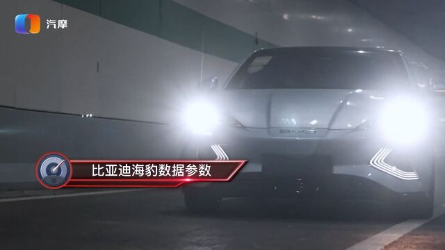 预算20到30万 比亚迪的纯电车怎么选?