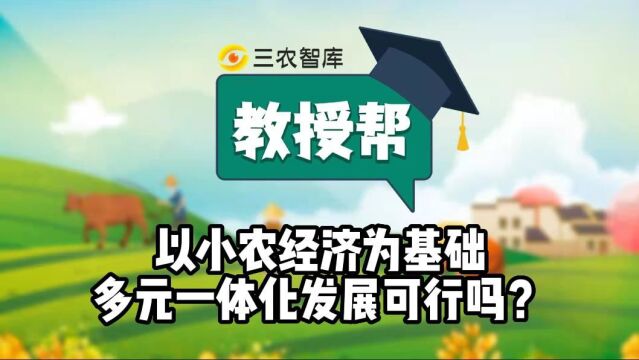 以小农经济为基础多元一体化发展可行吗?