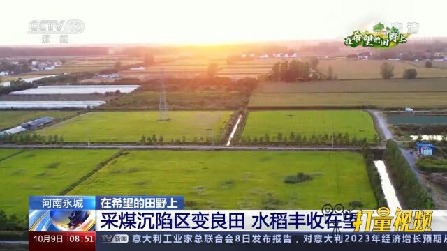 河南省永城市加大综合治理力度,采煤沉陷区变良田