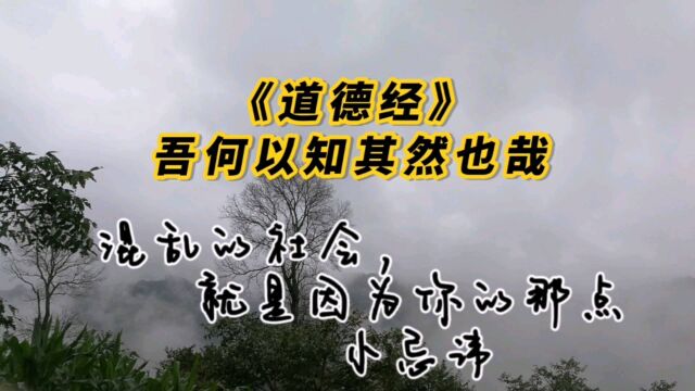 跟罗大伦博士学习《道德经》吾何以知其然也哉?夫天下多忌讳,而民弥贫,民多利器,而邦家滋昏.