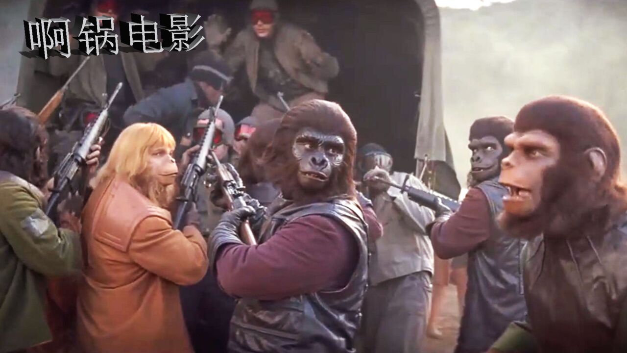 老版人猿系列的最后一部,看完之后才发现,这原来是导演挖下的坑_高清1080P在线观看平台_腾讯视频