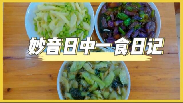 妙音日中一食日记:每天中午11点左右吃饭,净素菜、水果、坚果等,一般不超过12点,因为妙音也是过午不食的