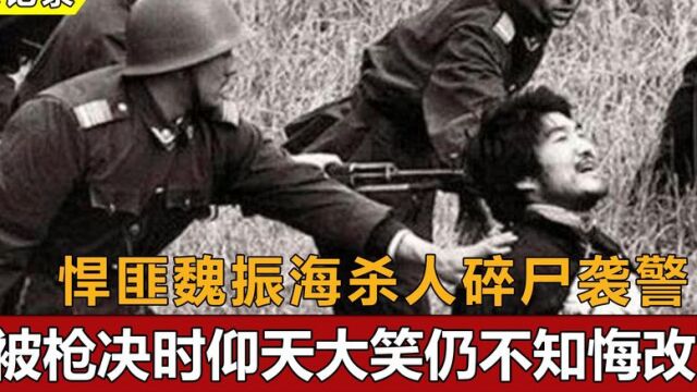 西安头号悍匪魏振海,身负11条人命死不认罪,枪决时突然仰天长笑