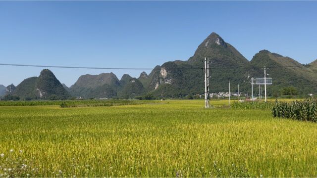 秋天来了天气变凉,湖南长沙朋友定制一套双人蚕丝被,3+5斤四季都能用