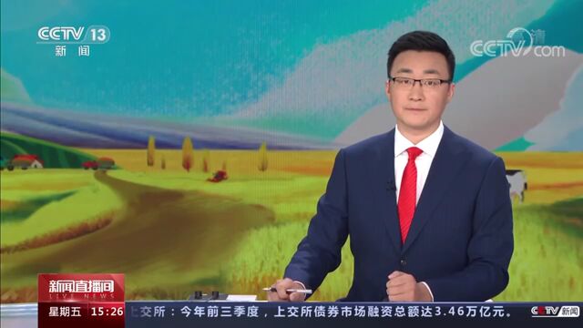 山西长治高粱丰收 当地因地制宜助农增收致富