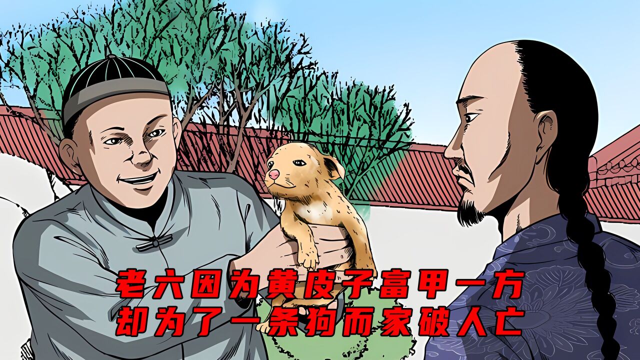 男人因为黄皮子富甲一方,却为了一条狗而家破人亡_高清1080P在线观看平台_腾讯视频